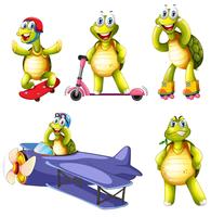 Set of turtle character vector