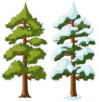 Dos pinos con y sin nieve. vector