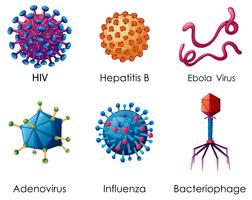 Seis tipos de virus sobre fondo blanco. vector