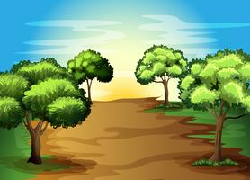 Growing green trees in the forest vector
