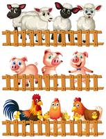 Farm animals behind the wooden fence vector