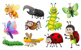 Different kinds of insects vector