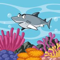 Gray shark swims in the ocean vector