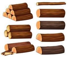 Diferentes tipos de maderas vector