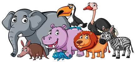 Different types of wild animals vector
