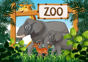 Wild animals in the zoo vector