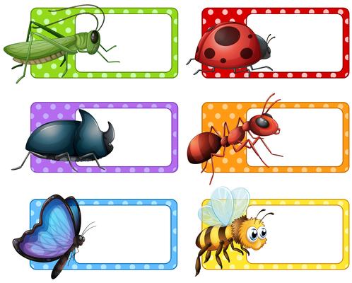 Square labels and many insects