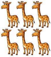 Giraffe with different emotions vector