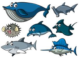 Different types of sharks vector