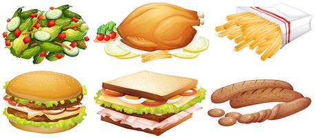 Many kinds of food vector