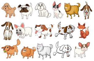 Different breeds of dogs vector