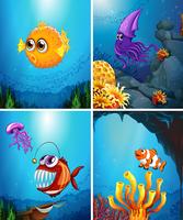 Sea animals swimming in the ocean vector