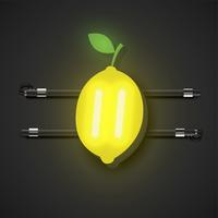 Realistic neon fruits with console, vector illustration