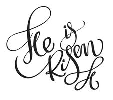 He is risen words isolated on white background. Calligraphy lettering Vector illustration EPS10
