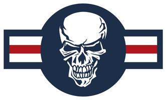 Military aircraft emblem with skull roundel color vector illustration