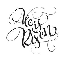 He is risen text isolated on white background. calligraphy and lettering vector