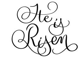 He is risen text on white background. Hand drawn vintage Calligraphy lettering Vector illustration EPS 10