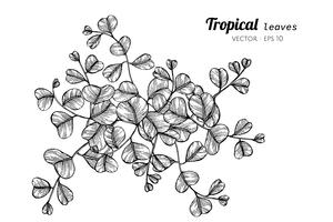 Tropical leaves drawing illustration. vector