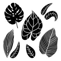 Set of vintage style leaves. vector