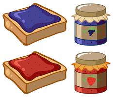 Two flavor of jam and bread vector