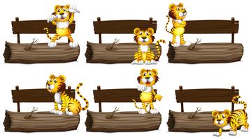 Wooden signs with tigers vector