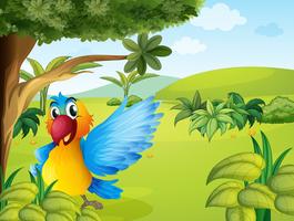 A colorful parrot in the forest vector