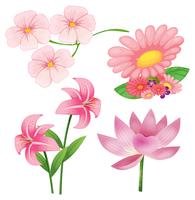 Flowers vector