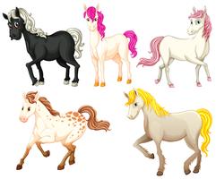 Horses vector