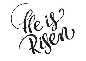 He is risen text isolated on white background. calligraphy and lettering vector