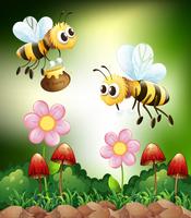 Abeja y miel vector