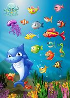 Shark and fish swimming under the sea vector