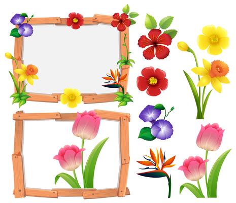 Frame template with different types of flowers