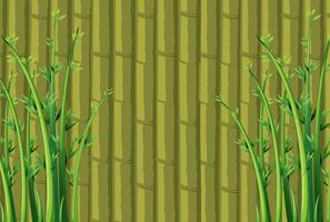 Bamboo background vector