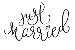 Just Married words on white background. Hand drawn Calligraphy lettering Vector illustration EPS10