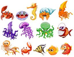 Sea creatures vector
