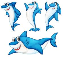 Serie de tiburones