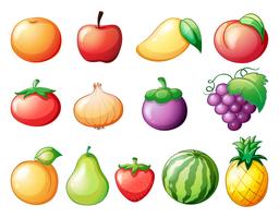 Different kinds of fruits vector