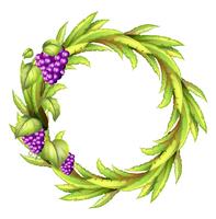 A round frame with vine grapes vector