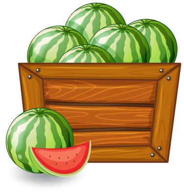 Watermelon on wooden banner