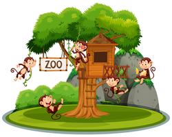 Mono en la casa del árbol en el zoológico vector