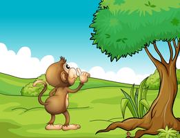 A monkey looking at the tree vector