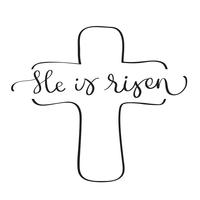 He is Risen text with cross on white background. Calligraphy lettering Vector illustration EPS10