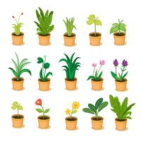 colección de plantas vector