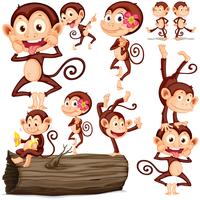 Cute monkeys in different positions vector