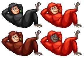 Orangutanes vector
