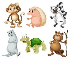 Six different kinds of wild animals vector