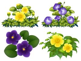 Diferentes tipos de flores en arbusto. vector