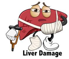 An isolated of liver damage vector