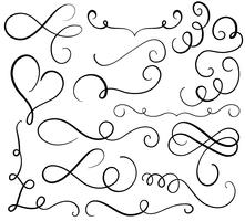Arte caligrafía florece de verticilos decorativos para el diseño. Ilustración vectorial eps10 vector