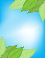 Green and blue nature card vector